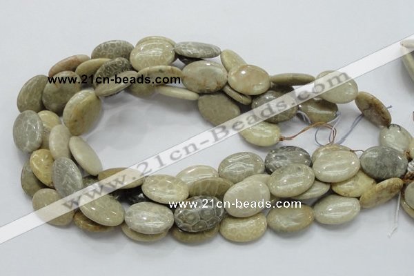 CFA11 15.5 inches 18*25mm oval chrysanthemum agate gemstone beads
