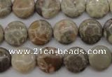 CFA228 15.5 inches 12mm flat round chrysanthemum agate beads