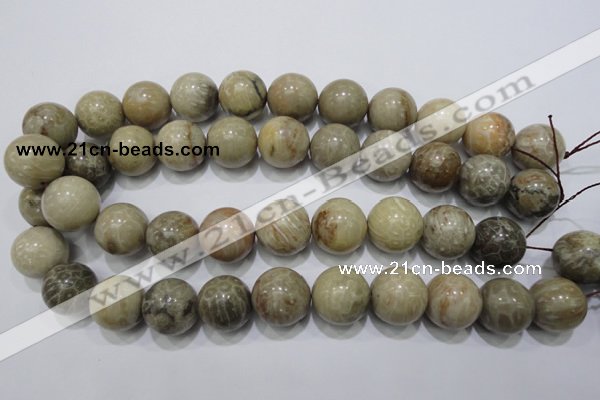 CFA27 15.5 inches 18mm round chrysanthemum agate gemstone beads