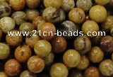 CFA32 15.5 inches 8mm round yellow chrysanthemum agate beads