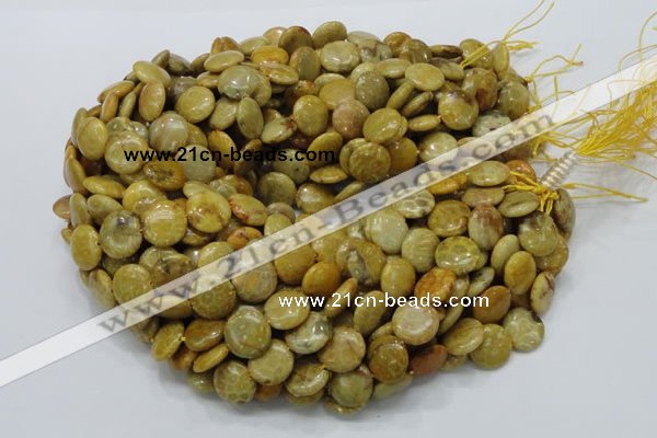 CFA42 15.5 inches 15mm flat round yellow chrysanthemum agate beads