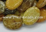 CFA48 15.5 inches 18*25mm oval yellow chrysanthemum agate beads