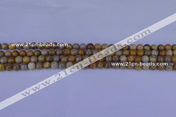 CFC200 15.5 inches 4mm round fossil coral beads wholesale