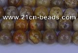 CFC201 15.5 inches 6mm round fossil coral beads wholesale