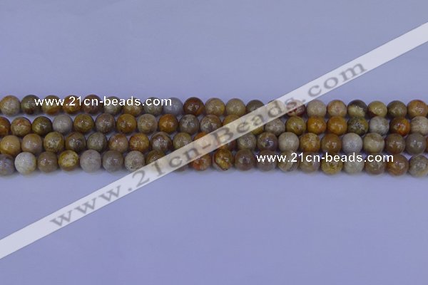 CFC201 15.5 inches 6mm round fossil coral beads wholesale