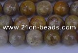 CFC202 15.5 inches 8mm round fossil coral beads wholesale