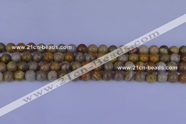 CFC202 15.5 inches 8mm round fossil coral beads wholesale