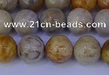 CFC203 15.5 inches 10mm round fossil coral beads wholesale