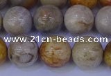 CFC204 15.5 inches 12mm round fossil coral beads wholesale