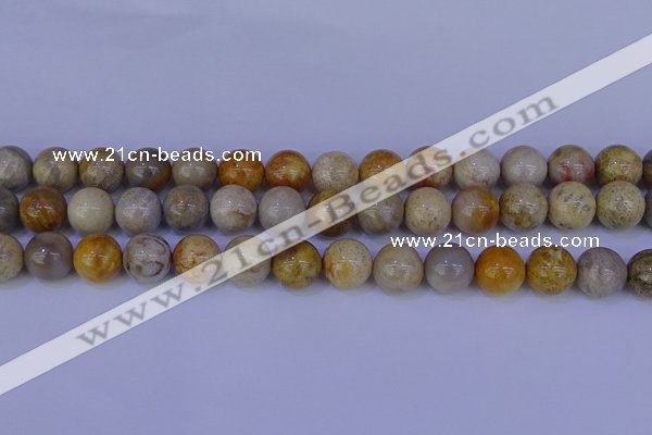 CFC204 15.5 inches 12mm round fossil coral beads wholesale