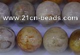 CFC205 15.5 inches 14mm round fossil coral beads wholesale