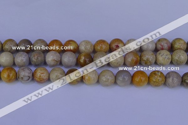 CFC205 15.5 inches 14mm round fossil coral beads wholesale