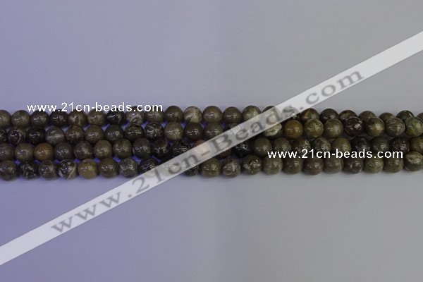 CFC211 15.5 inches 6mm round grey fossil coral beads wholesale