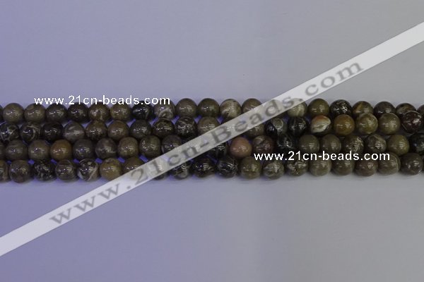 CFC212 15.5 inches 8mm round grey fossil coral beads wholesale