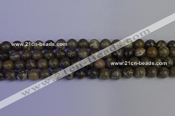 CFC214 15.5 inches 12mm round grey fossil coral beads wholesale