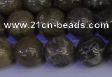 CFC215 15.5 inches 14mm round grey fossil coral beads wholesale