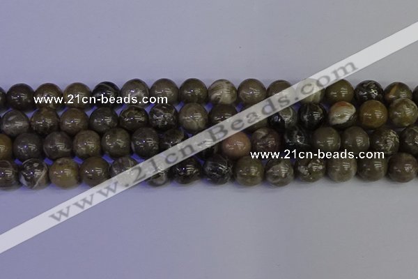 CFC215 15.5 inches 14mm round grey fossil coral beads wholesale