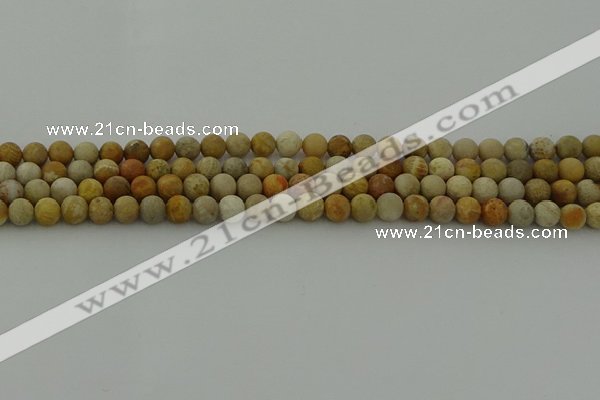 CFC221 15.5 inches 6mm round matte fossil coral beads wholesale