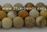 CFC222 15.5 inches 8mm round matte fossil coral beads wholesale