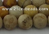 CFC224 15.5 inches 12mm round matte fossil coral beads wholesale