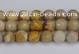 CFC228 15.5 inches 4mm faceted round fossil coral beads