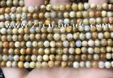 CFC320 15.5 inches 4mm round fossil coral beads wholesale