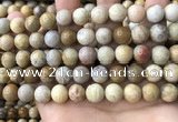 CFC323 15.5 inches 10mm round fossil coral beads wholesale