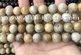 CFC324 15.5 inches 12mm round fossil coral beads wholesale