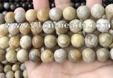 CFC325 15.5 inches 14mm round fossil coral beads wholesale