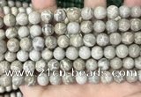 CFC330 15.5 inches 8mm round fossil coral beads wholesale