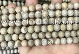 CFC333 15.5 inches 8mm round fossil coral beads wholesale