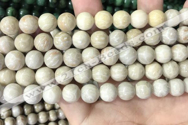 CFC335 15.5 inches 10mm round fossil coral beads wholesale