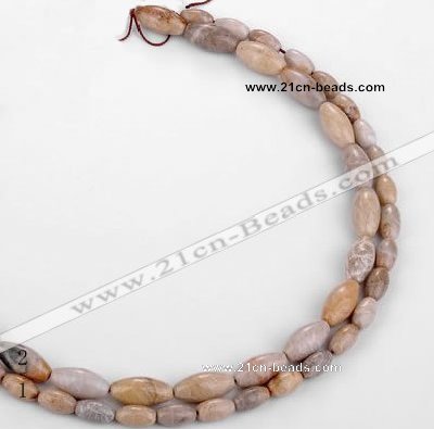 CFC54 15.5 inches rice shape coral fossil jasper beads wholesale