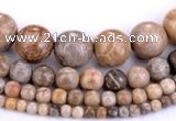 CFC55 15.5 inches round coral fossil jasper beads wholesale