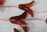 CFG504 15.5 inches 20*26mm carved flower red agate beads