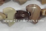 CFG796 12.5 inches 14*18mm carved animal jasper beads