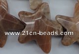 CFG929 15.5 inches 30*33mm faceted & carved star moonstone beads