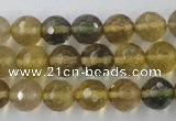 CFL454 15.5 inches 10mm faceted round rainbow fluorite beads