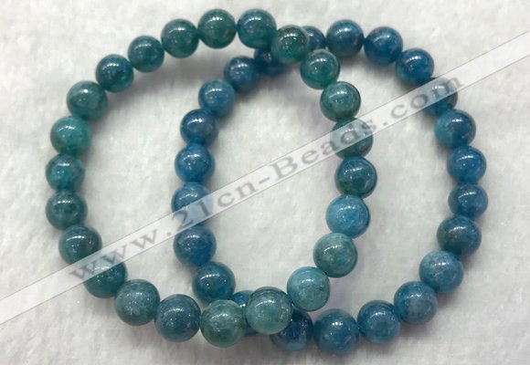 CGB2621 7.5 inches 8mm round natural apatite beaded bracelets