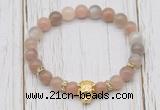 CGB7508 8mm rainbow moonstone bracelet with tiger head for men or women