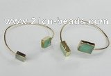 CGB792 8*10mm - 12*16mm rectangle Australia chrysoprase bangles