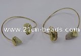 CGB902 12*16mm - 15*20mm freeform fish fossil bangles wholesale