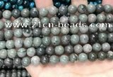 CGJ512 15.5 inches 8mm round green forst jasper beads wholesale