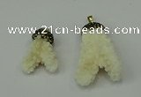 CGP209 25*30mm - 30*50mm freeform coral pendants wholesale