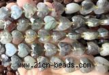 CHG363 15 inches 14mm faceted heart blood jasper beads