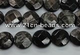 CHS18 15.5 inches 12mm faceted coin natural hypersthene beads