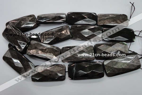 CHS42 15.5 inches 25*50mm faceted rectangle natural hypersthene beads