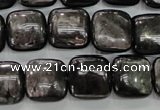 CHS82 15.5 inches 14*14mm square natural hypersthene beads