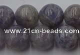 CIL103 15.5 inches 10mm round iolite gemstone beads wholesale