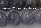 CIL104 15.5 inches 12mm round iolite gemstone beads wholesale